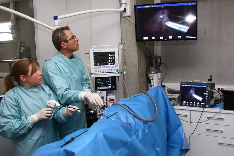 chirurgie endoscopie