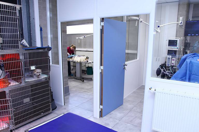 salles de chirurgie clinique vétérinaire